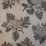 Hawthorn in Cream